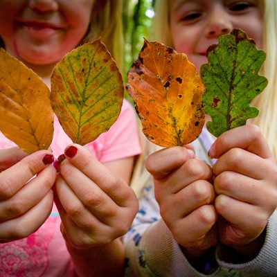 Daffodils Childrens Nursery