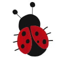 Ladybird