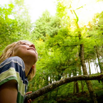 Nursery leicestershire