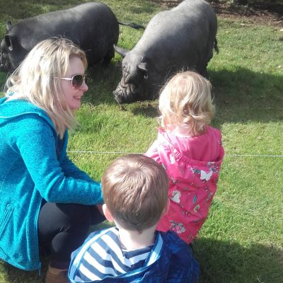 Daffodils Outdoor Nursery