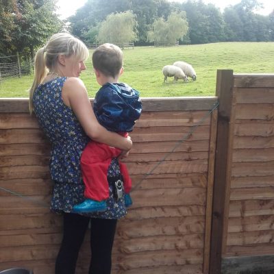 Daffodils Outdoor Nursery