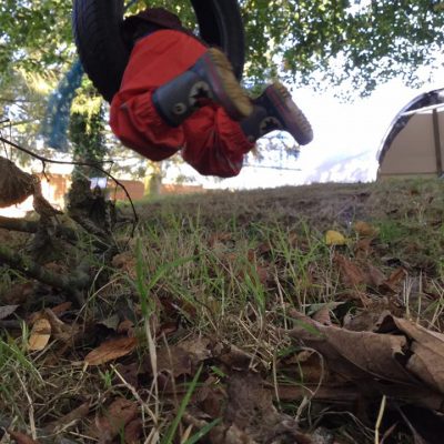 Daffodils Outdoor Nursery