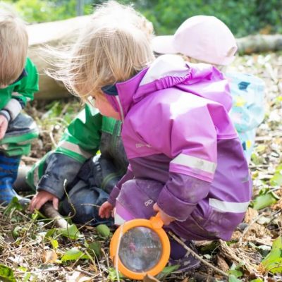 Daffodils Outdoor Nursery