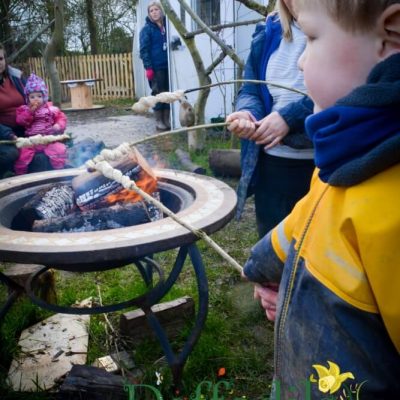 Daffodils Outdoor Nursery