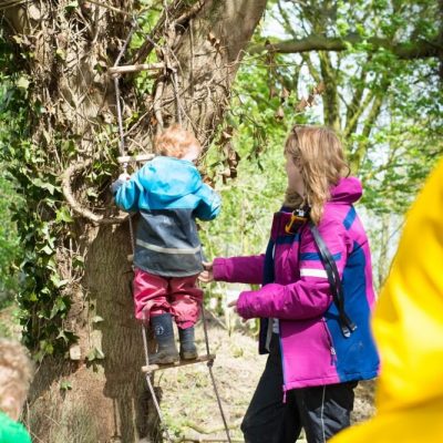 Daffodils Outdoor Nursery