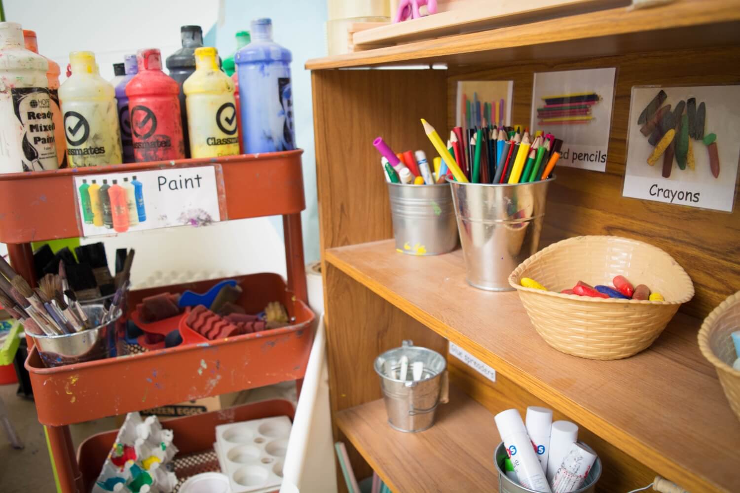 Daffodils Outdoor Nursery