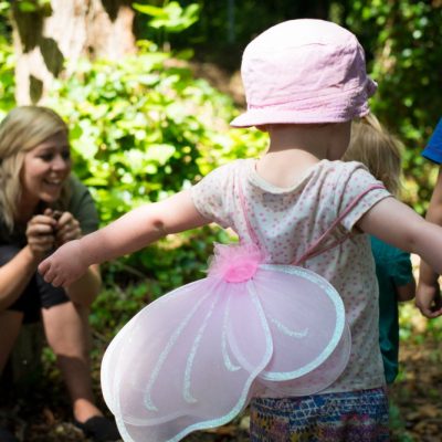 Daffodils Nursery 2020 1