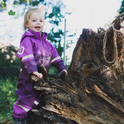 Daffodils Nursery 2020 3