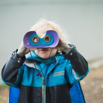 Daffodils Nursery 2020 7